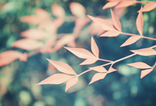 欧美电影【国英双语.国语配音】【系列合集】6.4T：阿里云盘网国语电影资源大合集，国英双语影视资源分享，阿里云盘网[免费在线观看][夸克网盘]