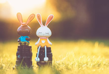 📚高中英语3500词【全网最全整理】31.6GB