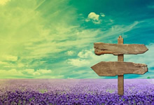 [阿里云盘]2025最新电影资源分享[免费在线观看][夸克网盘]